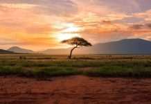 kenya, Africa Youth in Tourism