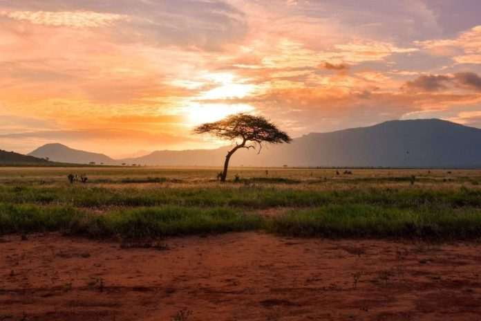 Photo by Damian Patkowski - STOCKFREE - kenya kenya, Africa Youth in Tourism